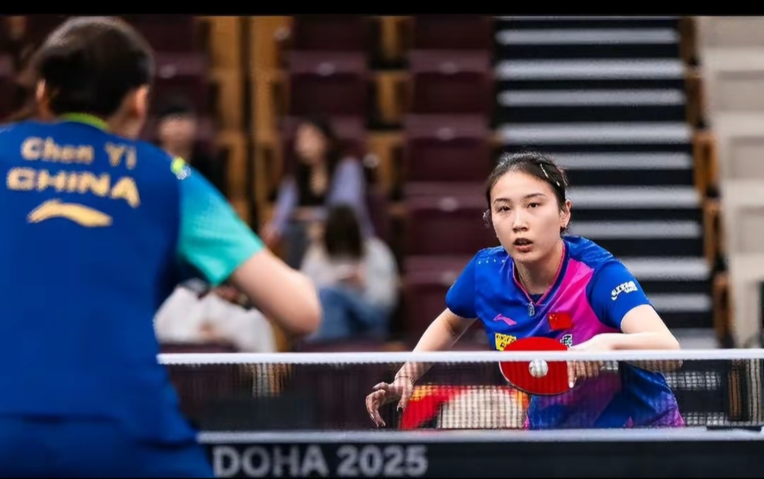 不仅关注犯 不仅关注犯