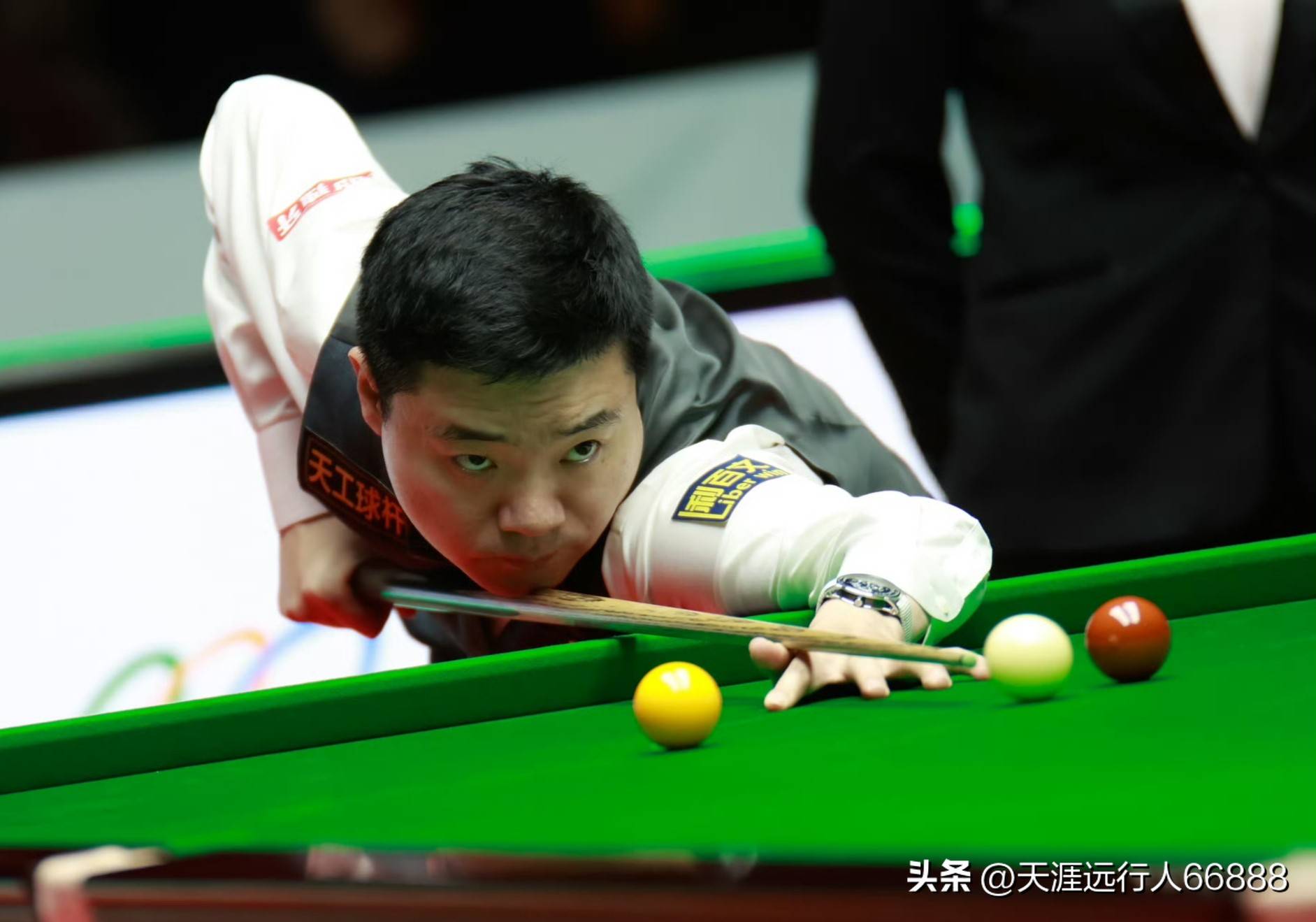 展现了他们 展现了他们