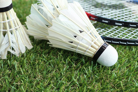 后卫搭档 后卫搭档